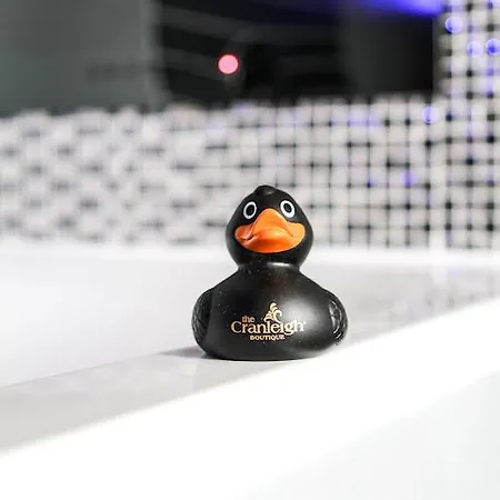 The Cranleigh Boutique 4*