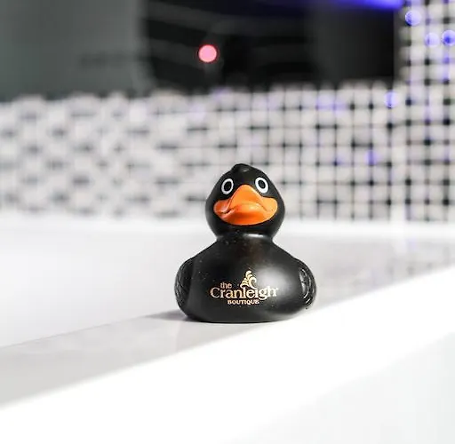 The Cranleigh Boutique 4*